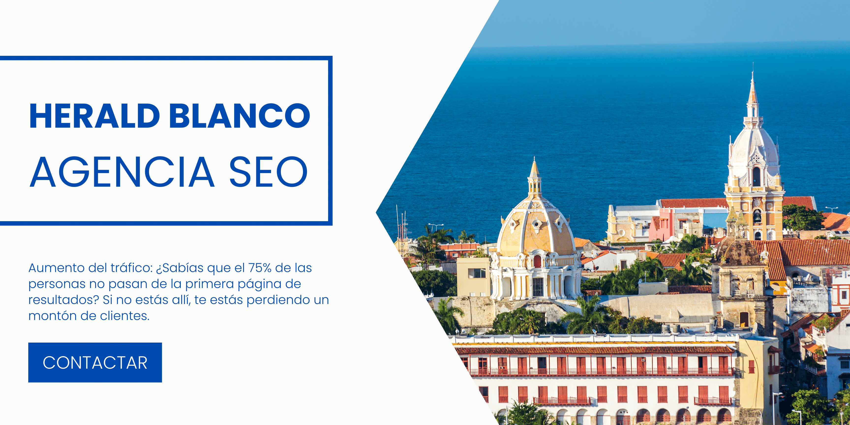 agencia seo Colombia - consultor seo Colombia